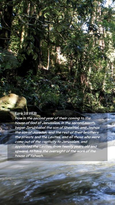 Picture 02 - Ezra 3:8 WEB Mobile Phone Wallpaper - Now in the second year of their coming to the - Mobile Bible Verse Wallpaper