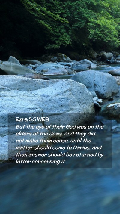 Picture 02 - Ezra 5:5 WEB Mobile Phone Wallpaper - But the eye of their God was on the elders of the - Mobile Bible Verse Wallpaper