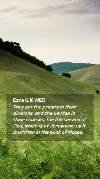 Picture 02 - Ezra 6:18 WEB Mobile Phone Wallpaper - They set the priests in their divisions, and the - Mobile Bible Verse Wallpaper