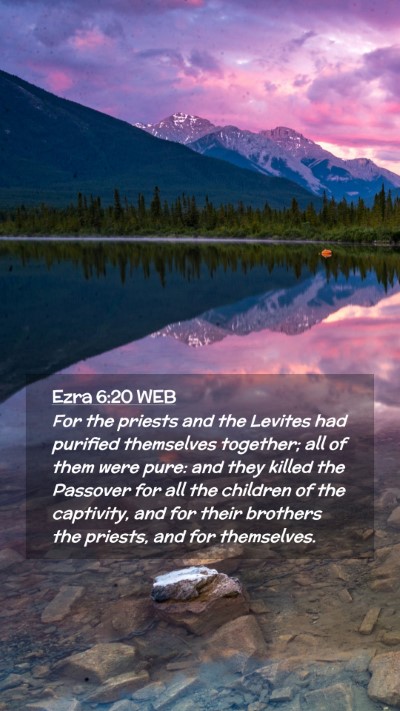 Picture 02 - Ezra 6:20 WEB Mobile Phone Wallpaper - For the priests and the Levites had purified - Mobile Bible Verse Wallpaper