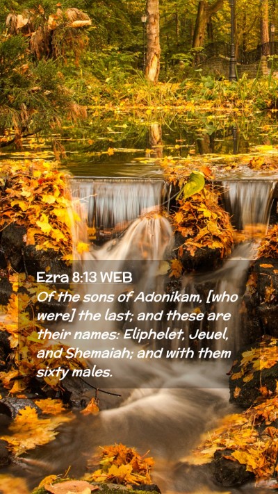 Picture 02 - Ezra 8:13 WEB Mobile Phone Wallpaper - Of the sons of Adonikam, [who were] the last; and - Mobile Bible Verse Wallpaper