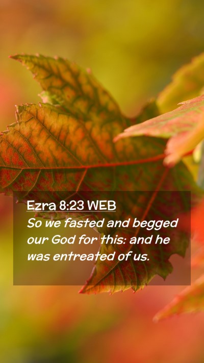 Picture 02 - Ezra 8:23 WEB Mobile Phone Wallpaper - So we fasted and begged our God for this: and he - Mobile Bible Verse Wallpaper
