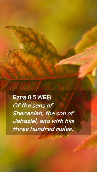 Picture 02 - Ezra 8:5 WEB Mobile Phone Wallpaper - Of the sons of Shecaniah, the son of Jahaziel; - Mobile Bible Verse Wallpaper