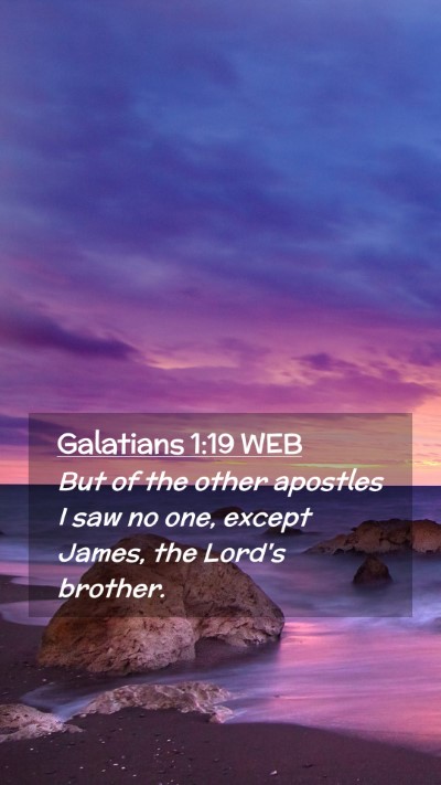Picture 02 - Galatians 1:19 WEB Mobile Phone Wallpaper - But of the other apostles I saw no one, except - Mobile Bible Verse Wallpaper