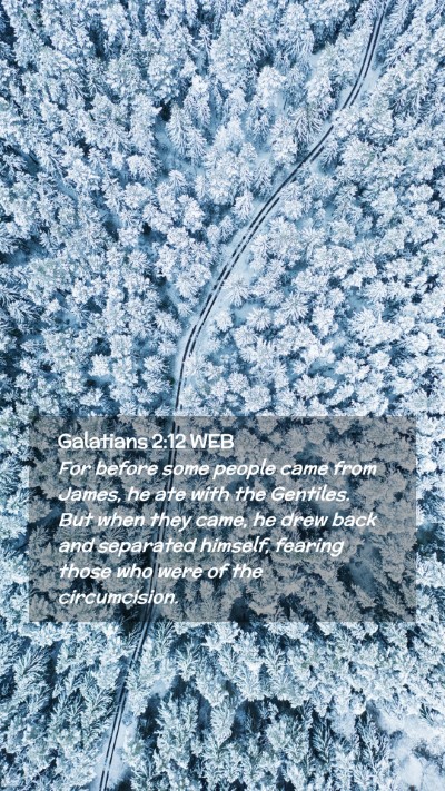 Picture 02 - Galatians 2:12 WEB Mobile Phone Wallpaper - For before some people came from James, he ate - Mobile Bible Verse Wallpaper