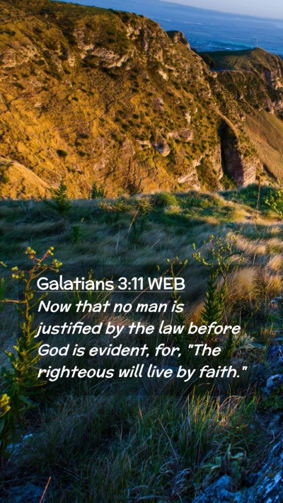 Picture 02 - Galatians 3:11 WEB Mobile Phone Wallpaper - Now that no man is justified by the law before - Mobile Bible Verse Wallpaper