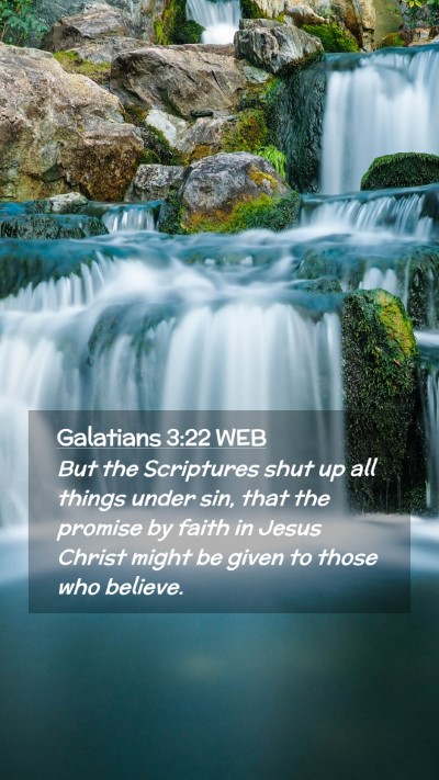 Picture 02 - Galatians 3:22 WEB Mobile Phone Wallpaper - But the Scriptures shut up all things under sin, - Mobile Bible Verse Wallpaper