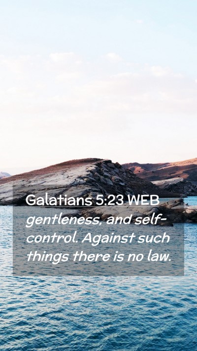 Picture 02 - Galatians 5:23 WEB Mobile Phone Wallpaper - gentleness, and self-control. Against such things - Mobile Bible Verse Wallpaper