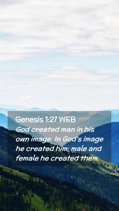 Picture 02 - Genesis 1:27 WEB Mobile Phone Wallpaper - God created man in his own image. In God's image - Mobile Bible Verse Wallpaper