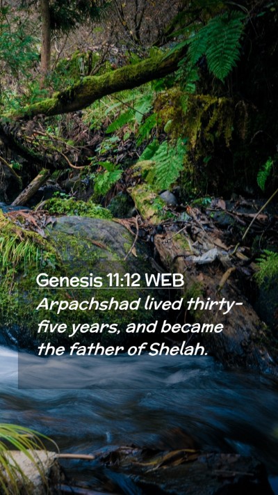 Picture 02 - Genesis 11:12 WEB Mobile Phone Wallpaper - Arpachshad lived thirty-five years, and became - Mobile Bible Verse Wallpaper