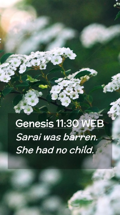 Picture 02 - Genesis 11:30 WEB Mobile Phone Wallpaper - Sarai was barren. She had no - Mobile Bible Verse Wallpaper
