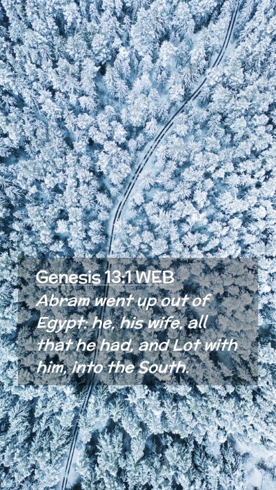 Picture 02 - Genesis 13:1 WEB Mobile Phone Wallpaper - Abram went up out of Egypt: he, his wife, all - Mobile Bible Verse Wallpaper