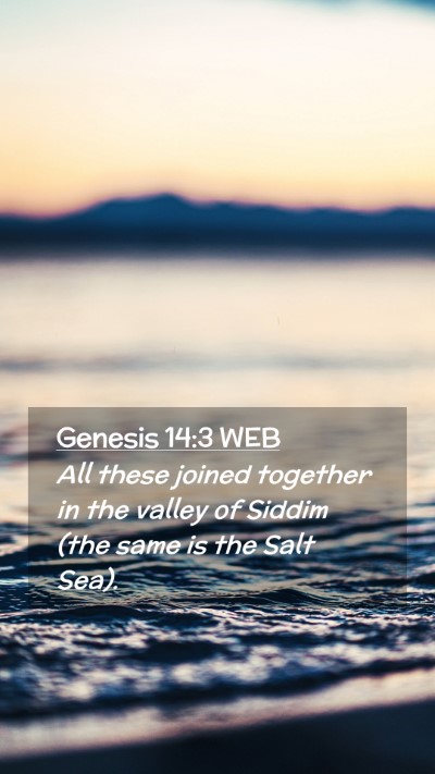 Picture 02 - Genesis 14:3 WEB Mobile Phone Wallpaper - All these joined together in the valley of Siddim - Mobile Bible Verse Wallpaper