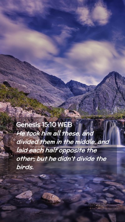 Picture 02 - Genesis 15:10 WEB Mobile Phone Wallpaper - He took him all these, and divided them in the - Mobile Bible Verse Wallpaper
