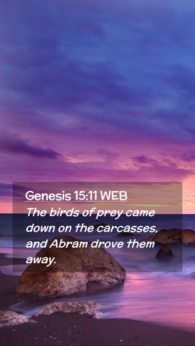 Picture 02 - Genesis 15:11 WEB Mobile Phone Wallpaper - The birds of prey came down on the carcasses, and - Mobile Bible Verse Wallpaper