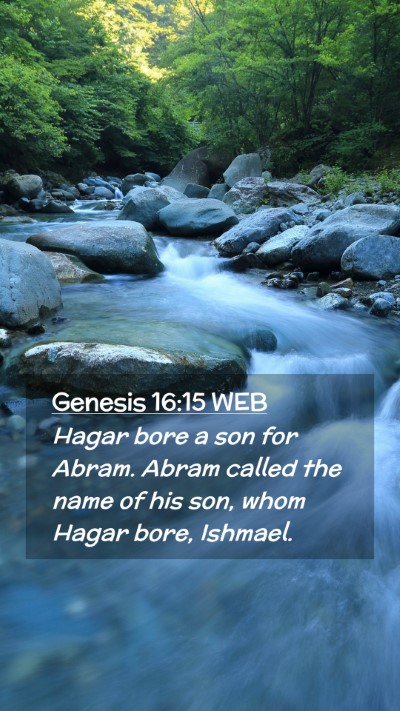 Picture 02 - Genesis 16:15 WEB Mobile Phone Wallpaper - Hagar bore a son for Abram. Abram called the name - Mobile Bible Verse Wallpaper