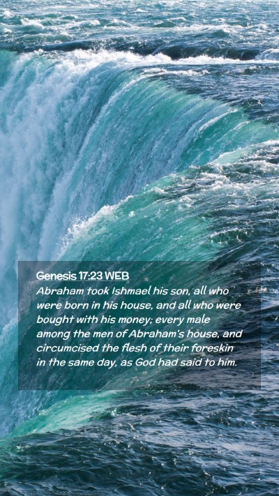 Picture 02 - Genesis 17:23 WEB Mobile Phone Wallpaper - Abraham took Ishmael his son, all who were born - Mobile Bible Verse Wallpaper