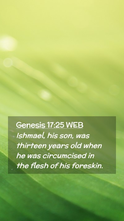 Picture 02 - Genesis 17:25 WEB Mobile Phone Wallpaper - Ishmael, his son, was thirteen years old when he - Mobile Bible Verse Wallpaper