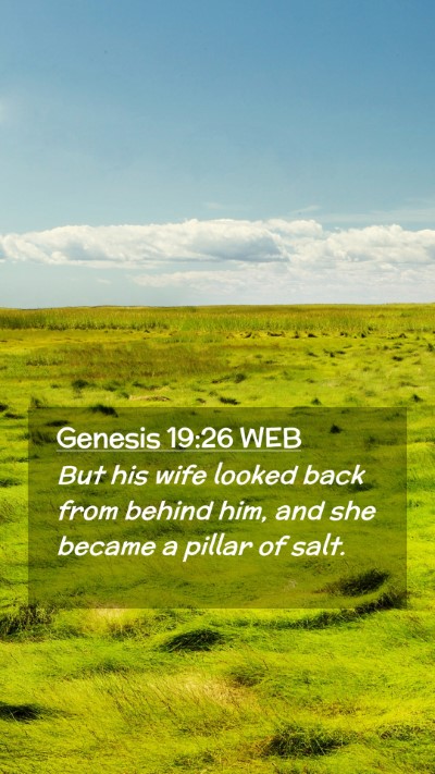 Picture 02 - Genesis 19:26 WEB Mobile Phone Wallpaper - But his wife looked back from behind him, and she - Mobile Bible Verse Wallpaper