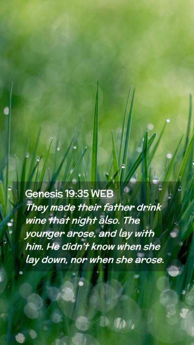 Picture 02 - Genesis 19:35 WEB Mobile Phone Wallpaper - They made their father drink wine that night - Mobile Bible Verse Wallpaper