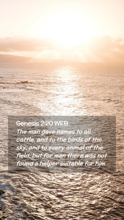 Picture 02 - Genesis 2:20 WEB Mobile Phone Wallpaper - The man gave names to all cattle, and to the - Mobile Bible Verse Wallpaper