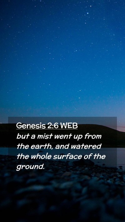Picture 02 - Genesis 2:6 WEB Mobile Phone Wallpaper - but a mist went up from the earth, and watered - Mobile Bible Verse Wallpaper
