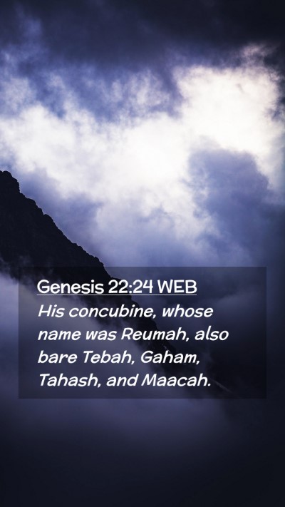 Picture 02 - Genesis 22:24 WEB Mobile Phone Wallpaper - His concubine, whose name was Reumah, also bare - Mobile Bible Verse Wallpaper