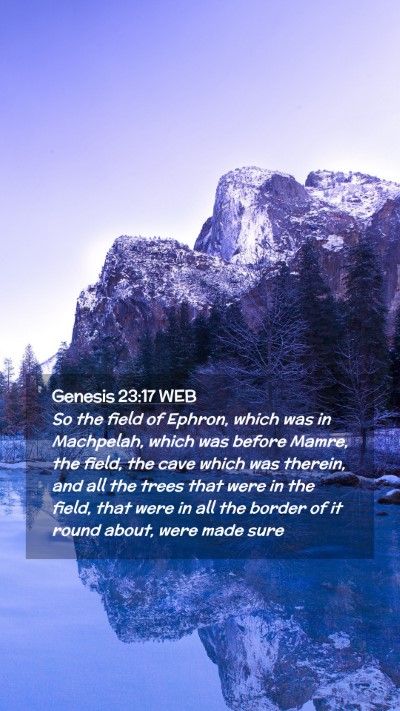 Picture 02 - Genesis 23:17 WEB Mobile Phone Wallpaper - So the field of Ephron, which was in Machpelah, - Mobile Bible Verse Wallpaper