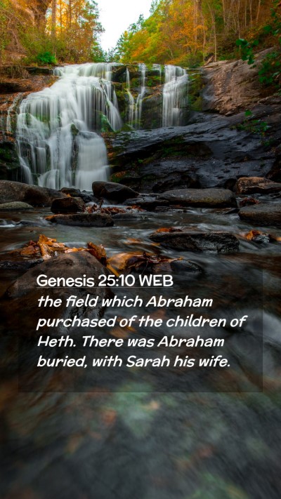 Picture 02 - Genesis 25:10 WEB Mobile Phone Wallpaper - the field which Abraham purchased of the children - Mobile Bible Verse Wallpaper