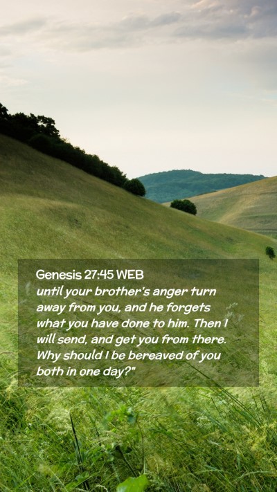 Picture 02 - Genesis 27:45 WEB Mobile Phone Wallpaper - until your brother's anger turn away from you, - Mobile Bible Verse Wallpaper