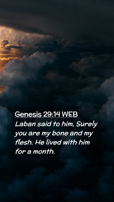Picture 02 - Genesis 29:14 WEB Mobile Phone Wallpaper - Laban said to him, Surely you are my bone and my - Mobile Bible Verse Wallpaper