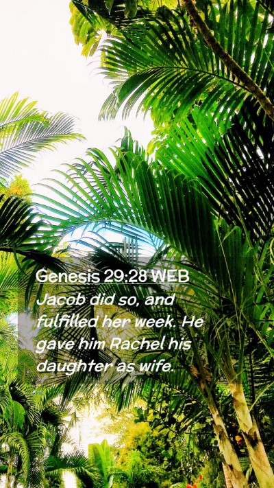 Picture 02 - Genesis 29:28 WEB Mobile Phone Wallpaper - Jacob did so, and fulfilled her week. He gave him - Mobile Bible Verse Wallpaper