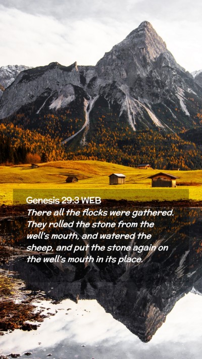Picture 02 - Genesis 29:3 WEB Mobile Phone Wallpaper - There all the flocks were gathered. They rolled - Mobile Bible Verse Wallpaper