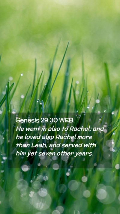 Picture 02 - Genesis 29:30 WEB Mobile Phone Wallpaper - He went in also to Rachel, and he loved also - Mobile Bible Verse Wallpaper