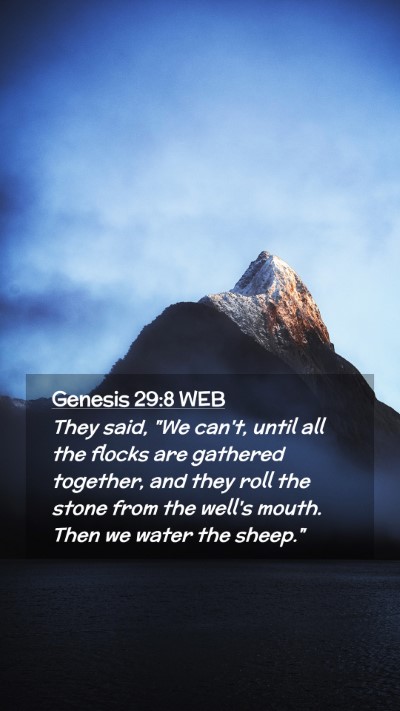 Picture 02 - Genesis 29:8 WEB Mobile Phone Wallpaper - They said, 