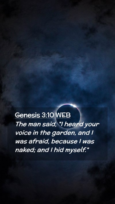 Picture 02 - Genesis 3:10 WEB Mobile Phone Wallpaper - The man said, 