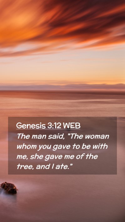 Picture 02 - Genesis 3:12 WEB Mobile Phone Wallpaper - The man said, 