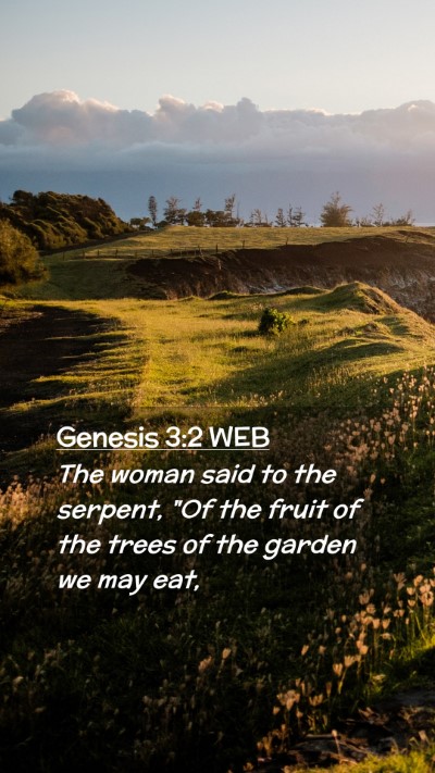 Picture 02 - Genesis 3:2 WEB Mobile Phone Wallpaper - The woman said to the serpent, 