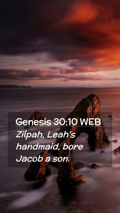 Picture 02 - Genesis 30:10 WEB Mobile Phone Wallpaper - Zilpah, Leah's handmaid, bore Jacob a - Mobile Bible Verse Wallpaper