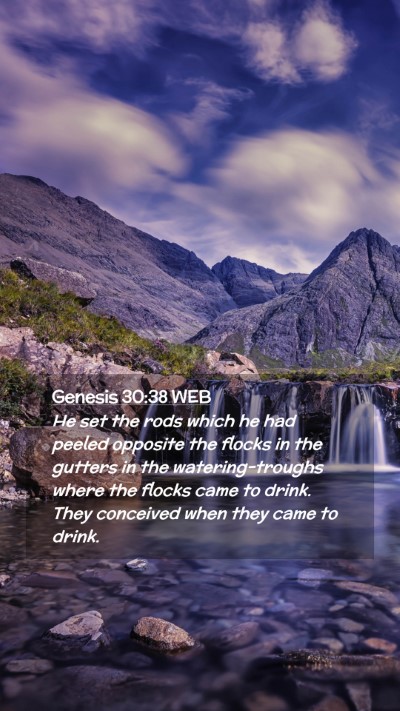 Picture 02 - Genesis 30:38 WEB Mobile Phone Wallpaper - He set the rods which he had peeled opposite the - Mobile Bible Verse Wallpaper