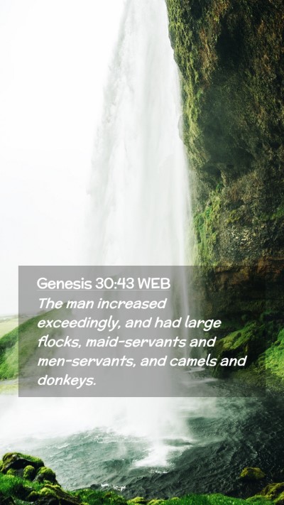 Picture 02 - Genesis 30:43 WEB Mobile Phone Wallpaper - The man increased exceedingly, and had large - Mobile Bible Verse Wallpaper