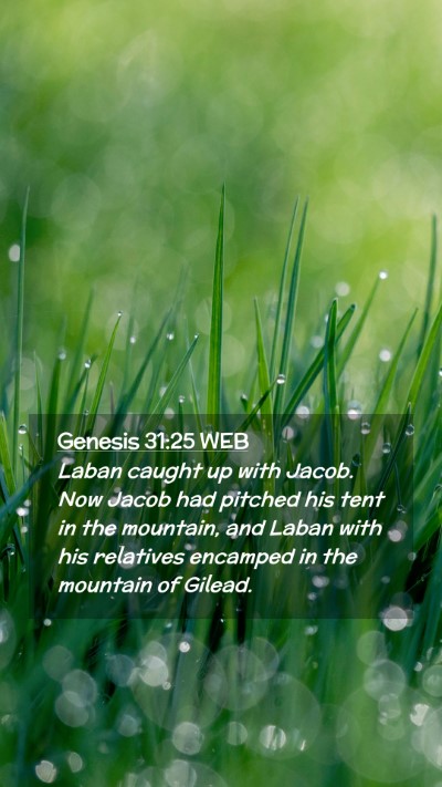 Picture 02 - Genesis 31:25 WEB Mobile Phone Wallpaper - Laban caught up with Jacob. Now Jacob had pitched - Mobile Bible Verse Wallpaper