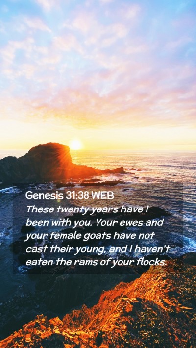 Picture 02 - Genesis 31:38 WEB Mobile Phone Wallpaper - These twenty years have I been with you. Your - Mobile Bible Verse Wallpaper