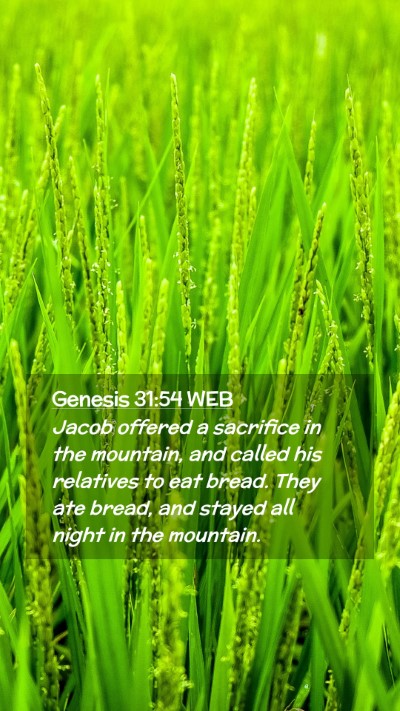 Picture 02 - Genesis 31:54 WEB Mobile Phone Wallpaper - Jacob offered a sacrifice in the mountain, and - Mobile Bible Verse Wallpaper