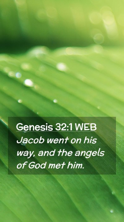 Picture 02 - Genesis 32:1 WEB Mobile Phone Wallpaper - Jacob went on his way, and the angels of God met - Mobile Bible Verse Wallpaper