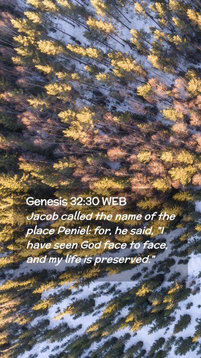Picture 02 - Genesis 32:30 WEB Mobile Phone Wallpaper - Jacob called the name of the place Peniel: for, - Mobile Bible Verse Wallpaper