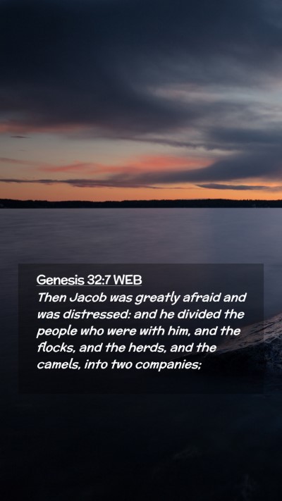 Picture 02 - Genesis 32:7 WEB Mobile Phone Wallpaper - Then Jacob was greatly afraid and was distressed: - Mobile Bible Verse Wallpaper