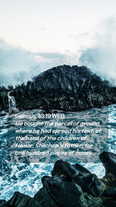 Picture 02 - Genesis 33:19 WEB Mobile Phone Wallpaper - He bought the parcel of ground, where he had - Mobile Bible Verse Wallpaper