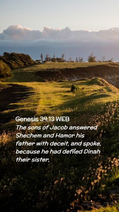 Picture 02 - Genesis 34:13 WEB Mobile Phone Wallpaper - The sons of Jacob answered Shechem and Hamor his - Mobile Bible Verse Wallpaper