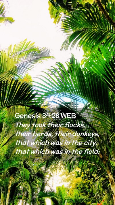 Picture 02 - Genesis 34:28 WEB Mobile Phone Wallpaper - They took their flocks, their herds, their - Mobile Bible Verse Wallpaper